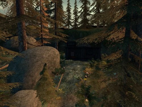 de_forest_2